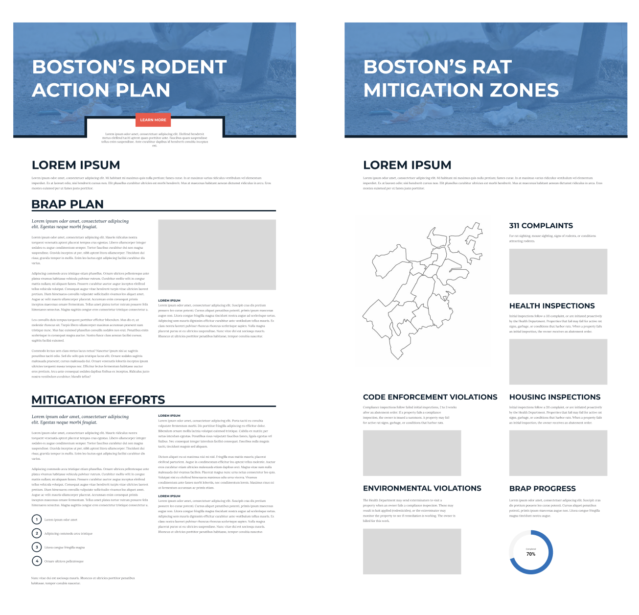 Boston's Rodent Action Plan